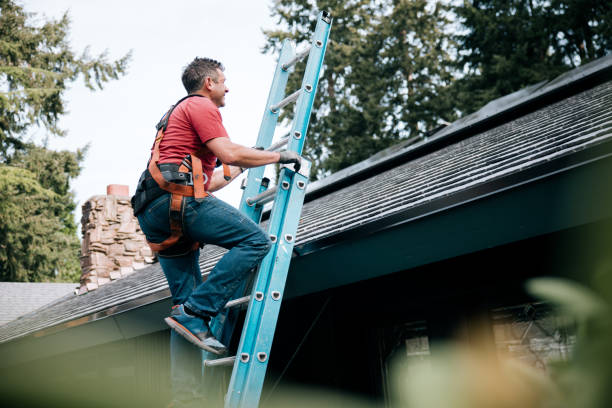 Best Roof Maintenance and Cleaning  in Helena Valley Northwest, MT